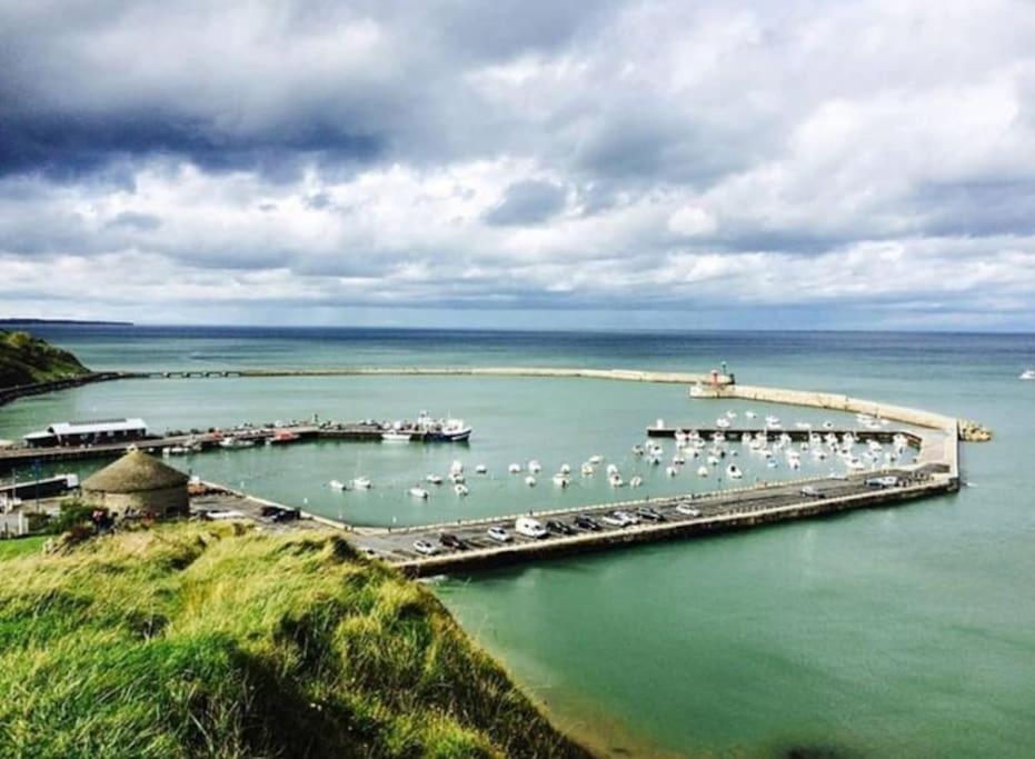 Le Refuge Marin Lägenhet Courseulles-sur-Mer Exteriör bild