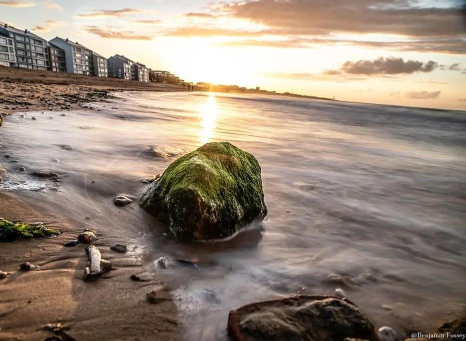 Le Refuge Marin Lägenhet Courseulles-sur-Mer Exteriör bild